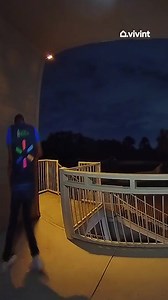 8.8K views · 115 reactions | Like a moth to a Walmart employee | Vivint | Facebook