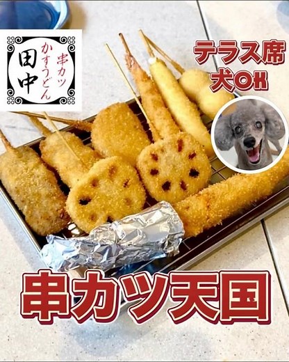 [Saitama, New City] Enjoy freshly fried skewers at Kushikatsu Tanaka! [Dogs allowed on the terrace]