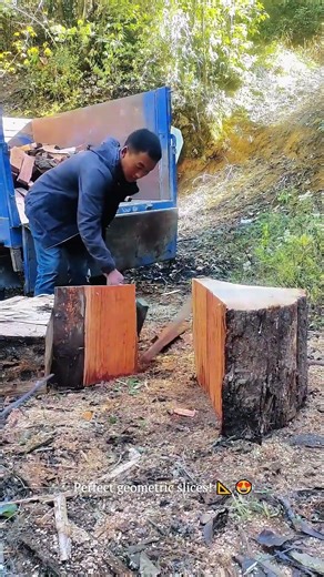 The Human Wood Splitter! 🪓 Slicing Logs Like Butter! #woodworking #satisfying