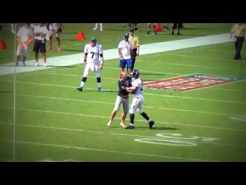 NFL Fans Running Onto Field Compilation