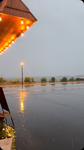 519 reactions · 10 comments | Made it back inside just in time! | Java Moose | Facebook