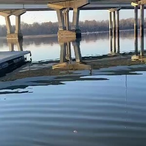 Free the fighter! #catchandrelease #tidalwaterbassfishing | Mike Iaconelli