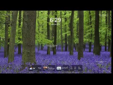 엘더 스크롤 스카이림 V 뷰지스 리다이브 모드