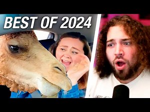 OS MELHORES VÍDEOS DA INTERNET 2024