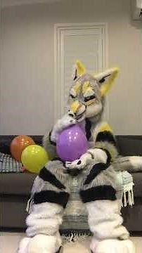 Blowing up balloons ( furry inflation)
