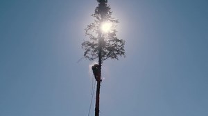 𝐈𝐭'𝐬 𝐭𝐢𝐦𝐞! 𝐄𝐧𝐫𝐨𝐥𝐦𝐞𝐧𝐭 𝐚𝐭 𝐄𝐃𝐂 𝐬𝐭𝐚𝐫𝐭𝐬 𝐚𝐭 𝐭𝐡𝐞 𝐞𝐧𝐝 𝐨𝐟 𝐀𝐮𝐠𝐮𝐬𝐭, 𝐚𝐧𝐝 𝐢𝐭'𝐬 𝐧𝐨𝐭 𝐭𝐨𝐨 𝐥𝐚𝐭𝐞 𝐭𝐨 𝐜𝐨𝐧𝐬𝐢𝐝𝐞𝐫 𝐣𝐨𝐢𝐧𝐢𝐧𝐠 𝐮𝐬! With loads of course options across three campuses, a FREE bus pass courtesy of Arriva useable on any bus, amazing facilities, Starbucks on site, incredible lecturers and loads of other perks, EDC should be your number 1 choice for college. Enrolment is an essential part of starting college - you'll visit us and say '