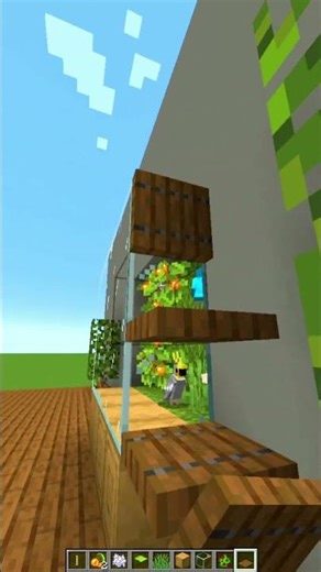 Minecraft Parrot Cage🦜(World's Smallest Violin)) #minecraft #shorts