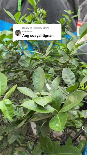 Upgrade Your Office Ink Pen: Stylish Gift Box Version