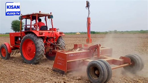 Alfalfa/Lucern cultivation in Urdu | How to grow lucern | لوسن کی کاشت #Alfalfa #Lucern #Losan #farming #agriculture | Kisan Vlogs Tv