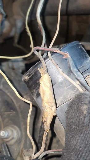 lexus gs300 wiring issue