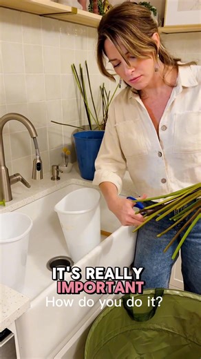 1.3K views · 23 reactions | There’s a trick to processing our little alien flowers (anthurium!) When they come in all fresh and floppy in the box, you need to soak the heads in water. After a few hours- give the stems a fresh cut, plop them in fresh water, and watch them live for dayssss. 易 #diywedding #diybride #diyflowers #anthurium | Flower Moxie | Facebook