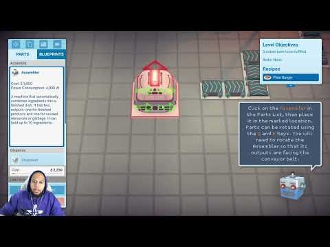 Tiger Plays Automachef