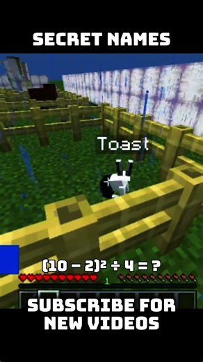 Secret names #minecraft