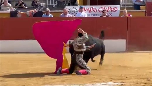 Momentos de apuro en la portagayola de Joao D’Alva al primero | mundotoro.com