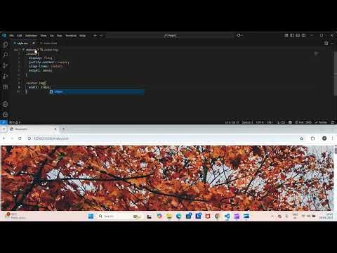 CSS Aspect-Ratio Tutorial for Beginners