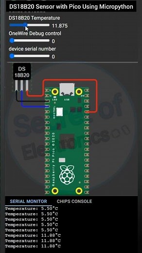 Micropython on Raspberry Pi Pico Board || Interface DS18B20 Sensor with Pico