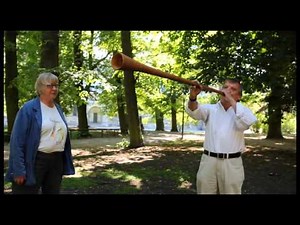 Vuvuzelan möter kohornet