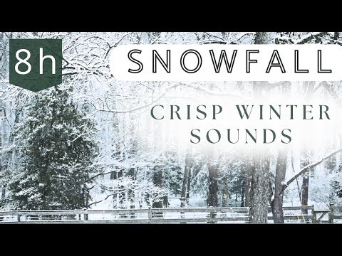 Snowfall | crisp winter sounds • 8 hours of gentle snow crackle ASMR