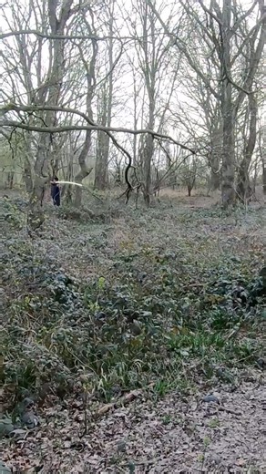 From a different angle the arrow flight. Enjoy. #fyp #archery #forest #practice #Ottoman #woods #bow #turkisharchery #archer | Takal Brothers