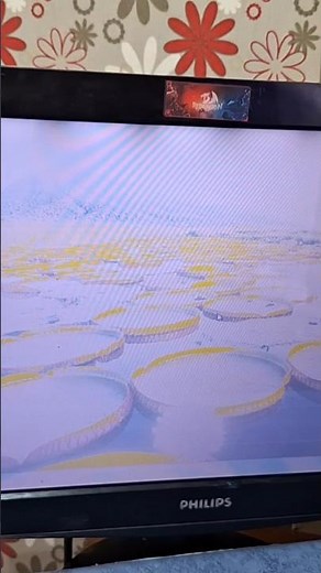 white screen of computer PC #whitescreen #pcwithwhitescreen