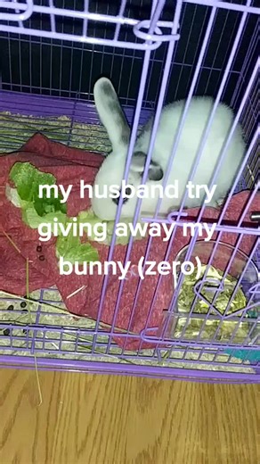 i can't believe my husband #lovemybunny #sweetheart #zero #birthdaypresent