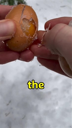 Frozen Egg Omelet Trick! 😳❄️🍳#Shorts