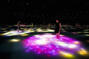 An Interactive Pond of Computer-Generated Koi Fish Designed by teamLab