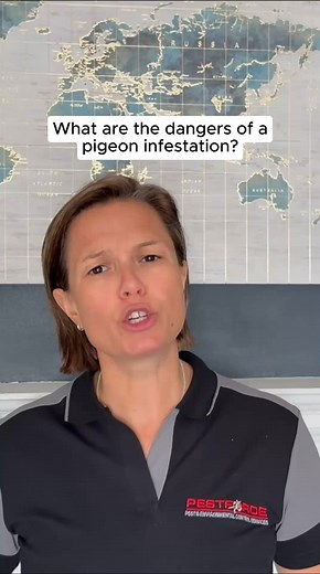 Are Pigeon Droppings Dangerous? What UK Homeowners Need to Know Pigeon fouling isn’t just unpleasant — it can pose genuine health risks if it’s allowed to build up in areas you walk through, touch, or live around. Here’s what to keep in mind: • Avoid touching or removing pigeon droppings yourself, pathogens in bird fouling can be harmful • Airborne spores from feral pigeon droppings can irritate the lungs • Cuts or grazes exposed to fouling can lead to infection • Large accumulations should be t
