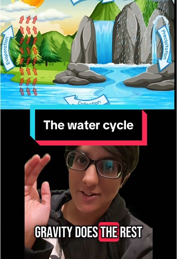 The Water Cycle Explained: Nature's Journey