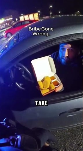When You BRIBE The Wrong Cop
