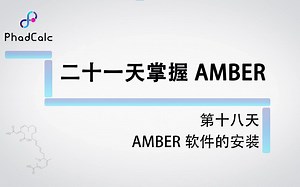 天玑算-科研服务丨amber实际操作课程（18）：AMBER软件的安装