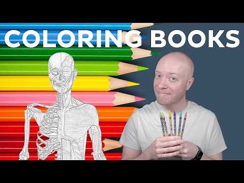 How to learn anatomy with coloring books | Kenhub