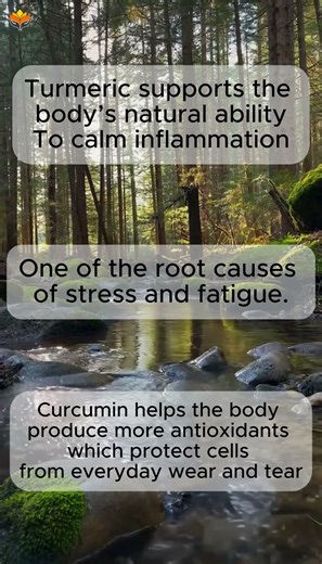 How Turmeric Supports Calm, Energy & Recovery 🌿 #asmr #healthyfood #turmeric #holistichealth
