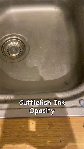 The ink sack of a very small species of Cuttlefish called a Chook The video shows the density of the ink when mixed with water! Truly astounding #cuttlefish #ink #sack #amazing #westcountry #dorset #tourguide #worldheritage #ocean #wildlife #sea #uk | Westdorsetforager