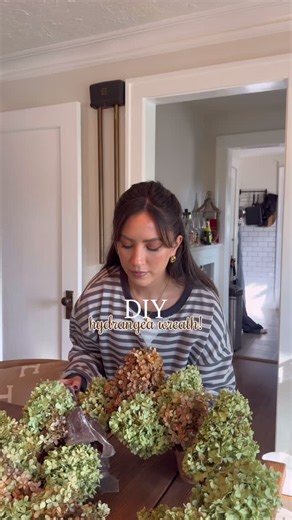 diy hydrangea wreath😍actually can’t believe how well this turned out, & it’s a keepsake from our first home forever🥹 reply “wreath” below for the ⛓️‍💥s to everything I used! to dry your hydrangeas… •remove the leaves •soak in soapy water to get any bugs & nastiness out! the amount of spiders that came out was😵‍💫 •carefully rinse & shake out •lay out to dry •put right side up in a vase & add a tiny bit of water at the bottom until it evaporates (this helps keep their color!) Dried hydrangeas