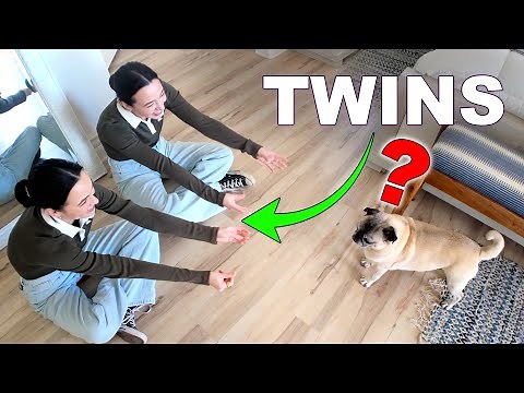 Can Our Pets Tell Twins Apart?