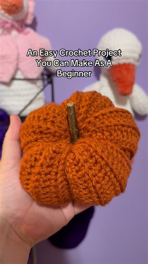 Easy Crochet Pumpkin Crochet Tutorial For Beginners! #crochetingwithhudson #crochettutorial