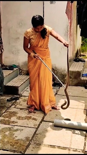 Fearless Indian Woman Handles a Snake 🐍🇮🇳 | Incredible Courage & Skill 👏 #santhanamuthugeditvideos