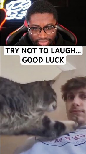 Try Not To Laugh… Wait For The End