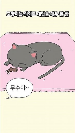 고양이는 의외로 부를 때마다 꼬박꼬박 대답해줘요