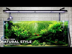 STUNNING NATURAL STYLE AQUASCAPE || AFTER 5 MONTH