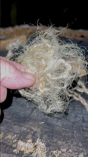 Jute, Fatwood and Ferro Rod #shorts