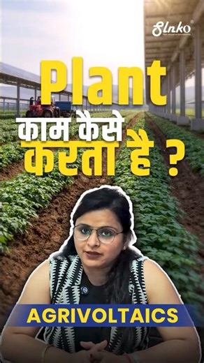 Agrivoltaics plant kaise kaam krta hai? #agrivoltaics #slnkoenergy