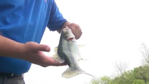 Missouri announces new fishing rule at Table Rock Lake