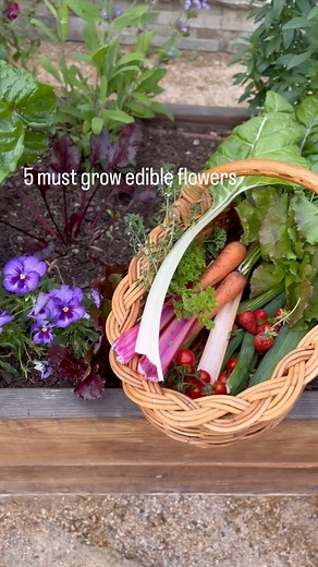 🌼🌸Want to add beauty and flavor to your garden? These edible flowers are not just pretty — they’re delicious too! 😍 🌼 Nasturtium – Peppery leaves and vibrant blooms (plus they trap pests!) 🌼 Calendula – Petal power for teas, salves, and salads 🌼 Pansies – Sweet, colorful, and perfect for decorating dishes 🌼 Lavender – Calming aroma and flavor for baking and teas 🌼 Borage – Cucumber-flavored blooms that pollinators love Plant these beauties and watch your garden (and your meals!) come to 