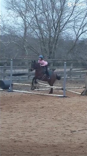 Are you ready to be seeing old vids from this barn😋