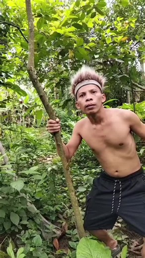 #creatorsearchinsights