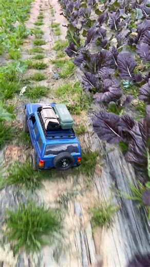 RC mn78 Run along the vegetable path #rccar #rc #offroad