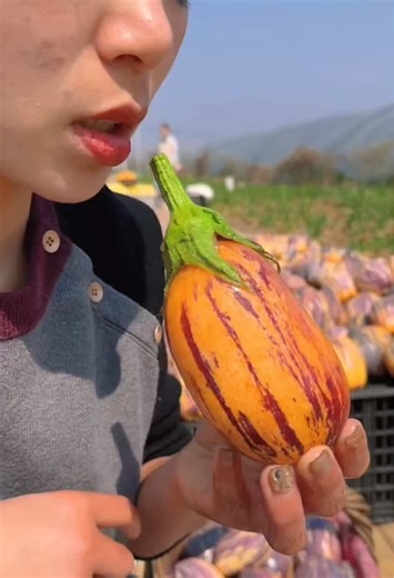 gold fruit & food on TikTok