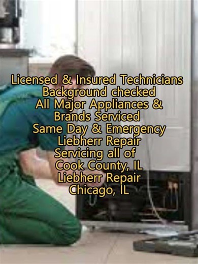 Liebherr Repair Chicago, IL 630 454 7692